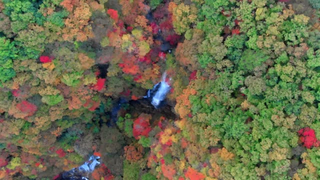 Aerial-view-of-Kirifuri-waterfall-and-autumn-foliage,-Nikko,-Tochigi,-Japan