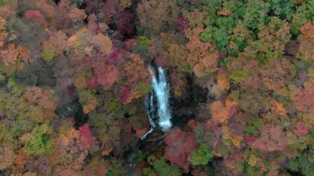Luftaufnahme-des-Kirifuri-Wasserfall-und-im-Herbst-Laub,-Nikko,-Tochigi,-Japan