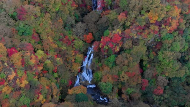 Vista-aérea-de-Kirifuri-cascada-y-otoño-follaje,-Nikko,-Tochigi,-Japón