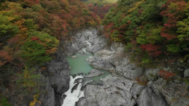 Luftaufnahme-des-Ryuokyo-Tal-und-im-Herbst-Laub,-Nikko,-Tochigi,-Japan