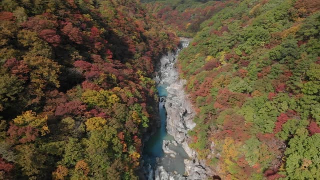 Vista-aérea-de-Ryuokyo-valle-y-otoño-follaje,-Nikko,-Tochigi,-Japón