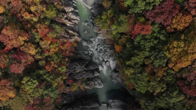 Aerial-view-of-Ryuokyo-valley-and-autumn-foliage,-Nikko,-Tochigi,-Japan