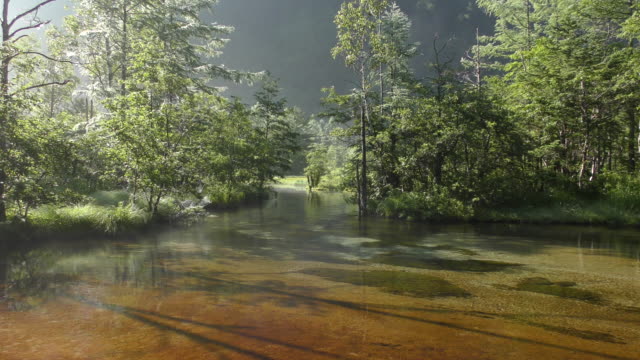 Pond-of-Tashiro-in-Kamikochi,-Matsumoto,-Nagano,-Japan