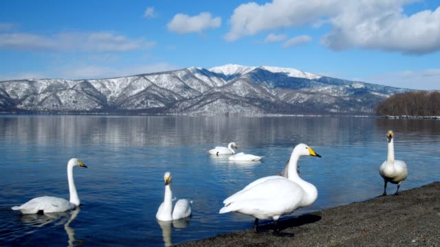 Lake-Kussharo-,Hokkaido,Japan.