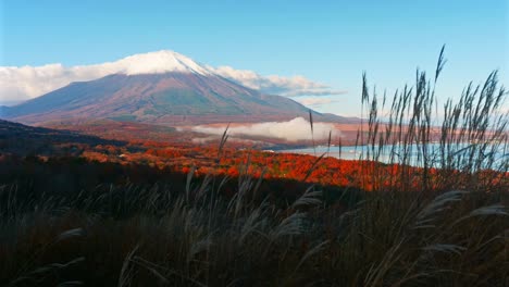 schöne-Landschaft-der-Berg-Fuji-in-japan