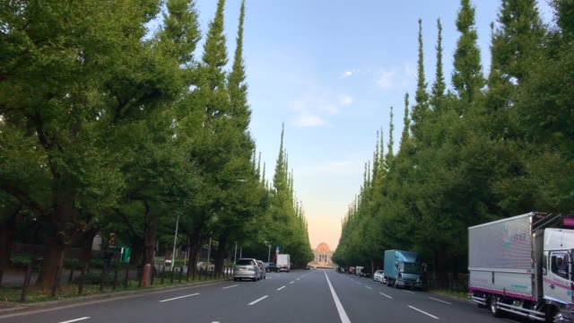 Straße-in-Tokio-Japan