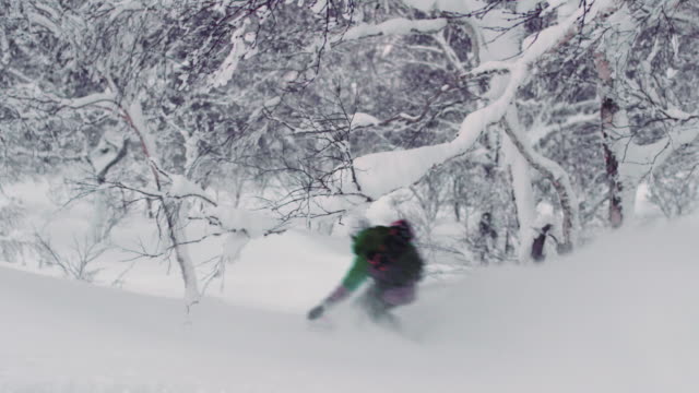 Snowboard-descenso-a-través-de-árboles-en-el-invierno-Backcountry-polvo