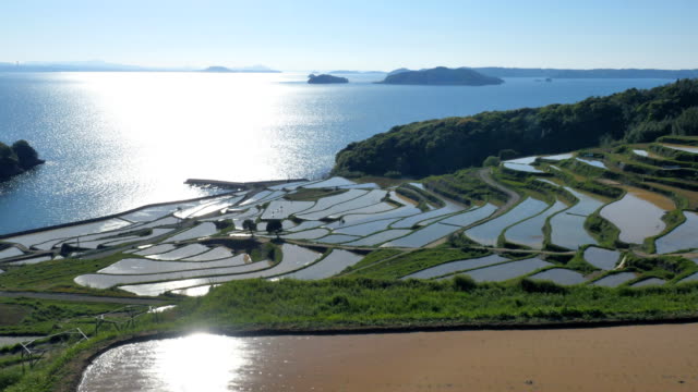 Doya-terraza-de-arroz-en-Japón