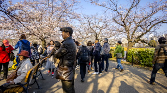 El-parque-de-Ueno-durante-la-temprano-flor-del-cerezo