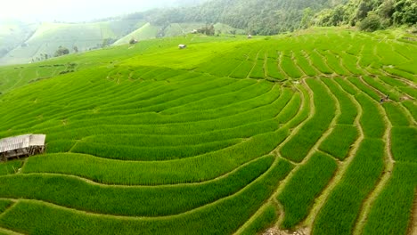 Rice-field-terrace-on-mountain-agriculture-land.