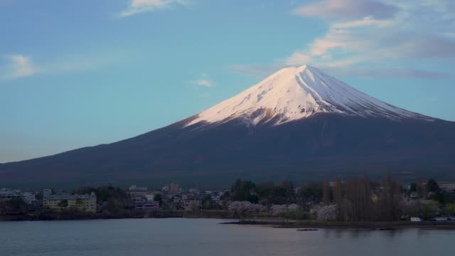 Monte-Fuji-y-Cherry-blossom-en-lago-Kawaguchiko