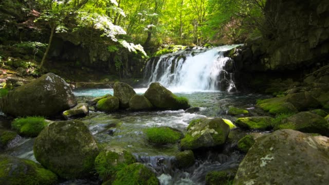 Waterfall-and-fresh-green-in-japan