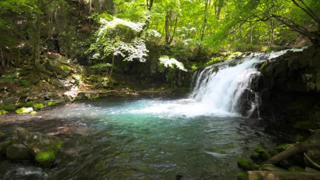 Wasserfall-und-frischem-Grün-in-japan