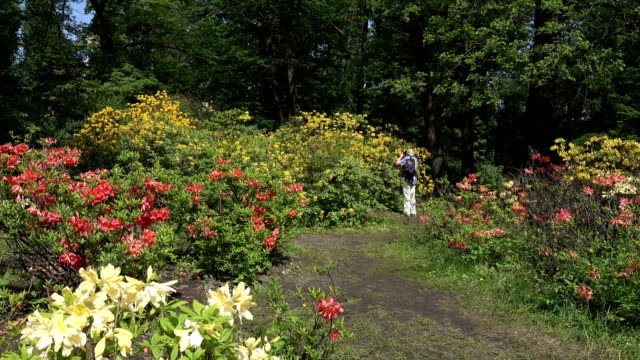 Un-hombre-está-fotografiando-un-arbusto-de-floración