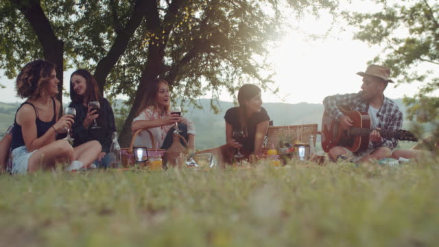Grupo-de-amigos-pasar-tiempo-haciendo-un-picnic-y-barbacoa.-filmada-en-cámara-lenta