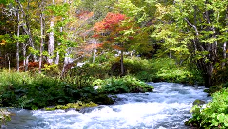 Akan-Nationalpark-der-farbigen-Blätter