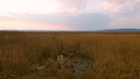 Parque-Nacional-Kushiro-Shitsugen,-Hokkaido,-Japón,-filmada-en-4K