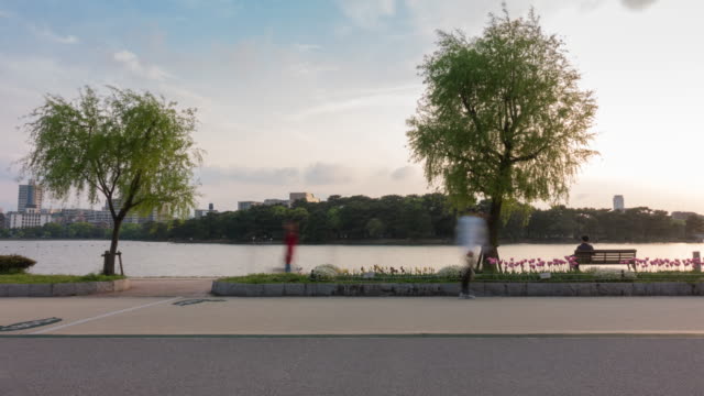 Time-lapse-of-people-walking,-running-along-public-park