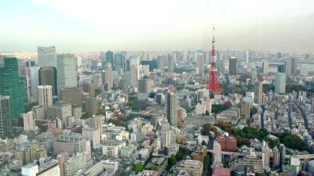 Vista-panorámica-del-paisaje-urbano-de-Tokio-en-temporada-de-otoño-con-la-torre-de-Tokio