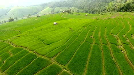 Rice-field-terrace-on-mountain-agriculture-land.