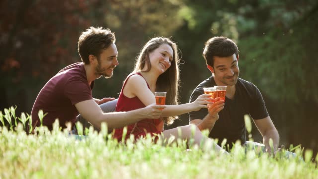Happy-Friends-Toasting-Together-In-The-Park--carefree,joy,happiness