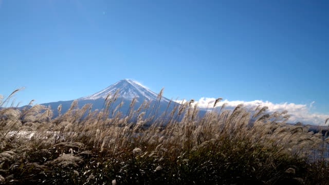Monte-Fuji-visto-desde-el-lago-Kawaguchiko,-Japón