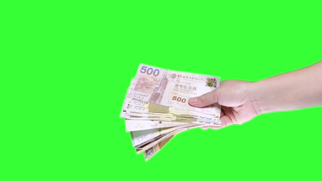 Hand-hält-eine-Hong-Kong-fünfhundert-Dollar-Note-auf-Greenscreen-hintergrund-isoliert