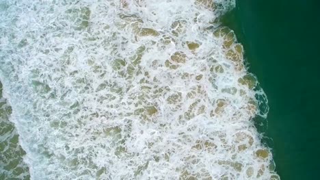 Wellen,-sandige-Birken-und-der-grüne-Meerblick-von-oben