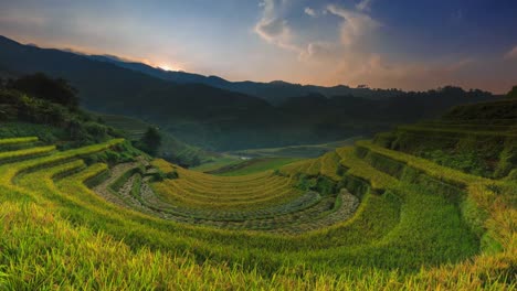 Rice-fields-on-terraced-of-Mu-Cang-Chai,-YenBai,-Vietnam.-Rice-fields-prepare-the-harvest-at-Northwest-Vietnam.Vietnam-landscapes.