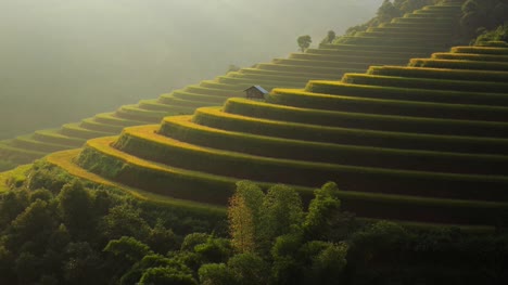 Arrozales-en-terrazas-de-Mu-Cang-Hai,-YenBai,-Vietnam.-Campos-de-arroz-preparan-la-cosecha-en-el-noroeste-Vietnam.Vietnam-paisajes.