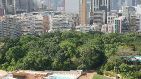 Parque-de-Kowloon,-edificios-de-apartamentos-y-rascacielos-en-Hong-Kong.