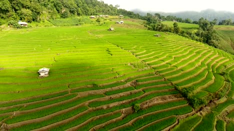 Rice-field-terrace-on-mountain-agriculture-land.