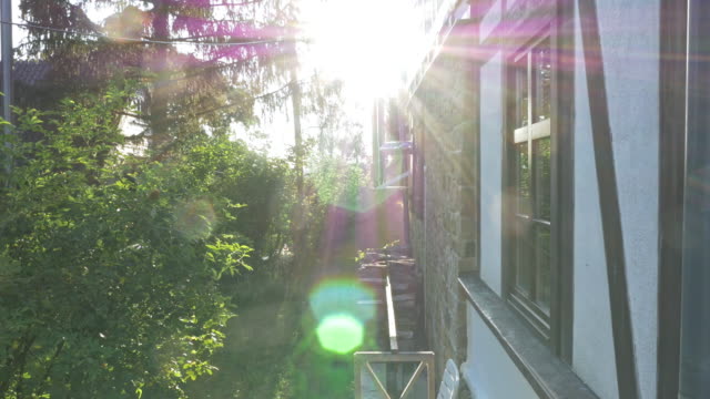 Bright-Sunlight-in-Backyard
