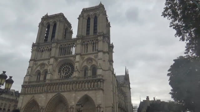 Notre-Dame-de-Paris,-Bäume-und-dunklen-Himmel