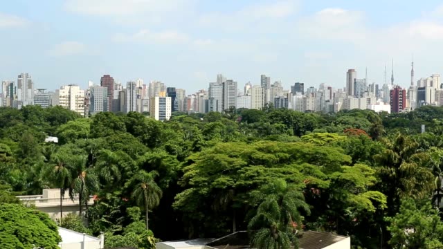View-of-Sao-Paulo