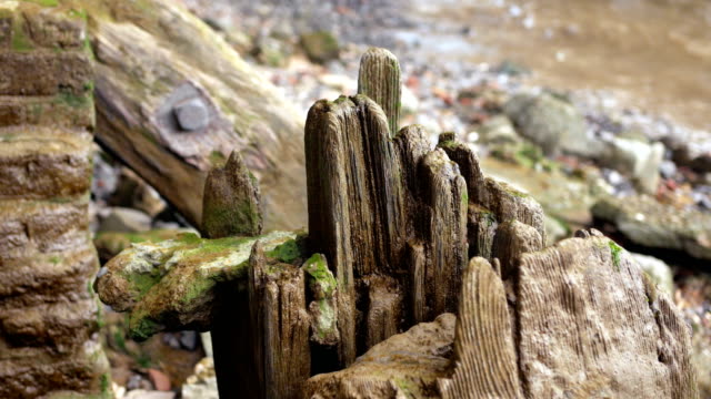 Vieja-habían-podrida-baulks-de-madera-en-la-zona-de-Thames.