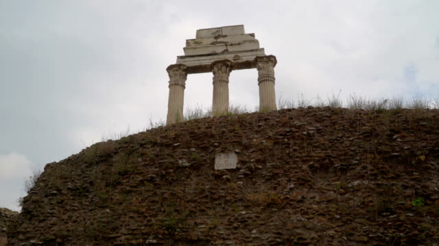 Las-pequeñas-hierbas-en-la-colina-donde-se-encuentra-el-templo-de-Cástor-y-Pólux-en-Roma-en-Italia