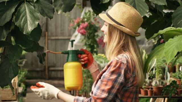 Woman-Spraying-Climbing-Plant-in-Greenhouse