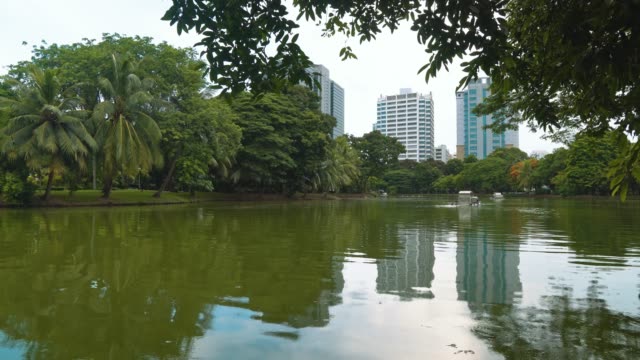 park-with-a-lake-in-the-center-of-the-city-with-high-rise-buildings-business-centers.-metropolitan-business-district