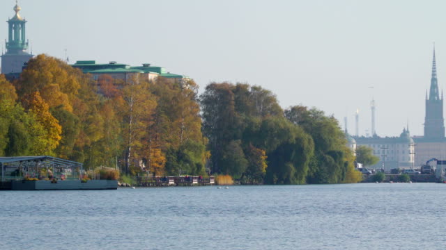 Árboles-de-color-amarillo-en-la-orilla-del-mar-en-Estocolmo-Suecia