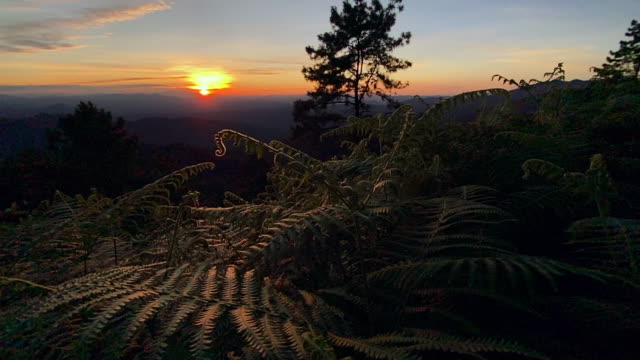 puesta-de-sol-y-luz-crepuscular-en-el-bosque-en-la-montaña