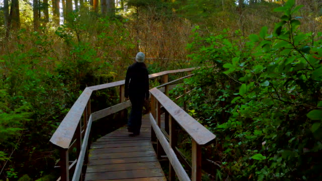 Woman-Hike-along-Wooden-Trail,-Deep-Green-Forest