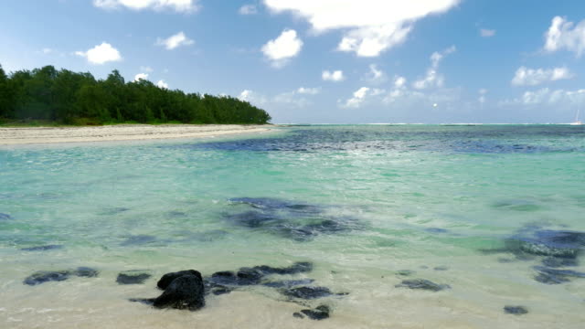 Forested-coastline-and-blue-lagoon,-Mauritius