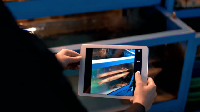 Frau-mit-tablet-PC-Aufnahme-der-Tintenfische-im-Shop-aquarium