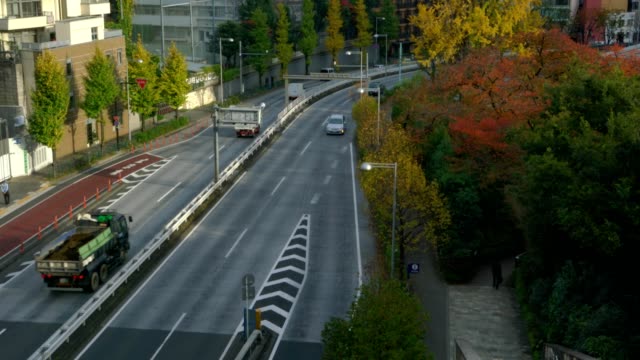 Paisaje-urbano-de-Tokio-en-temporada-de-otoño-con-la-torre-de-Tokio