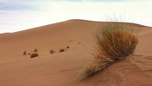 Beatiful-landscape-in-Sahara-desert,-Africa