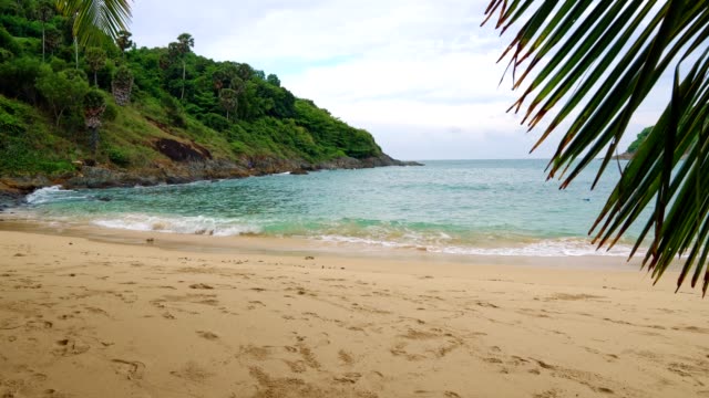 playa-tropical-con-palmeras,-descanso-y-viaje-en-las-islas