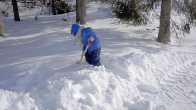 winter-in-ontario-4K-video