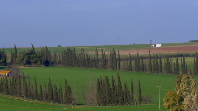 Panorama-Aufnahme-der-ländlichen-Landschaft-in-Nea-Kallikrateia.-Dorf,-Felder,-Landschaft-Häuser