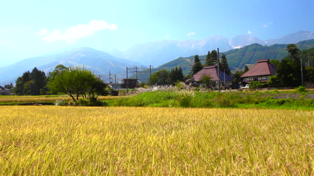 Japanische-Landschaft